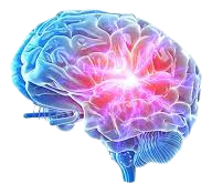 Neuroinflammation​