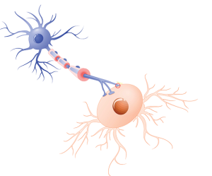 Neurotransmitter